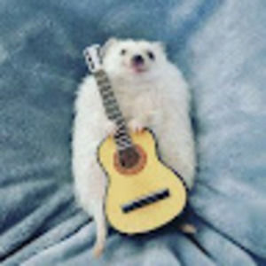 Meet your Posher, Robert